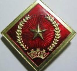 Sao gắn mũ (dân quân tự vệ)